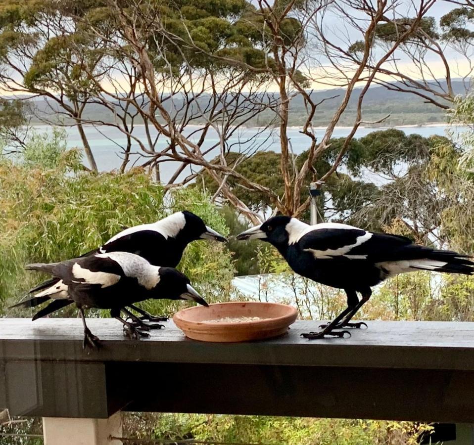 Wanderers Rest Of Kangaroo Island American River Exterior foto