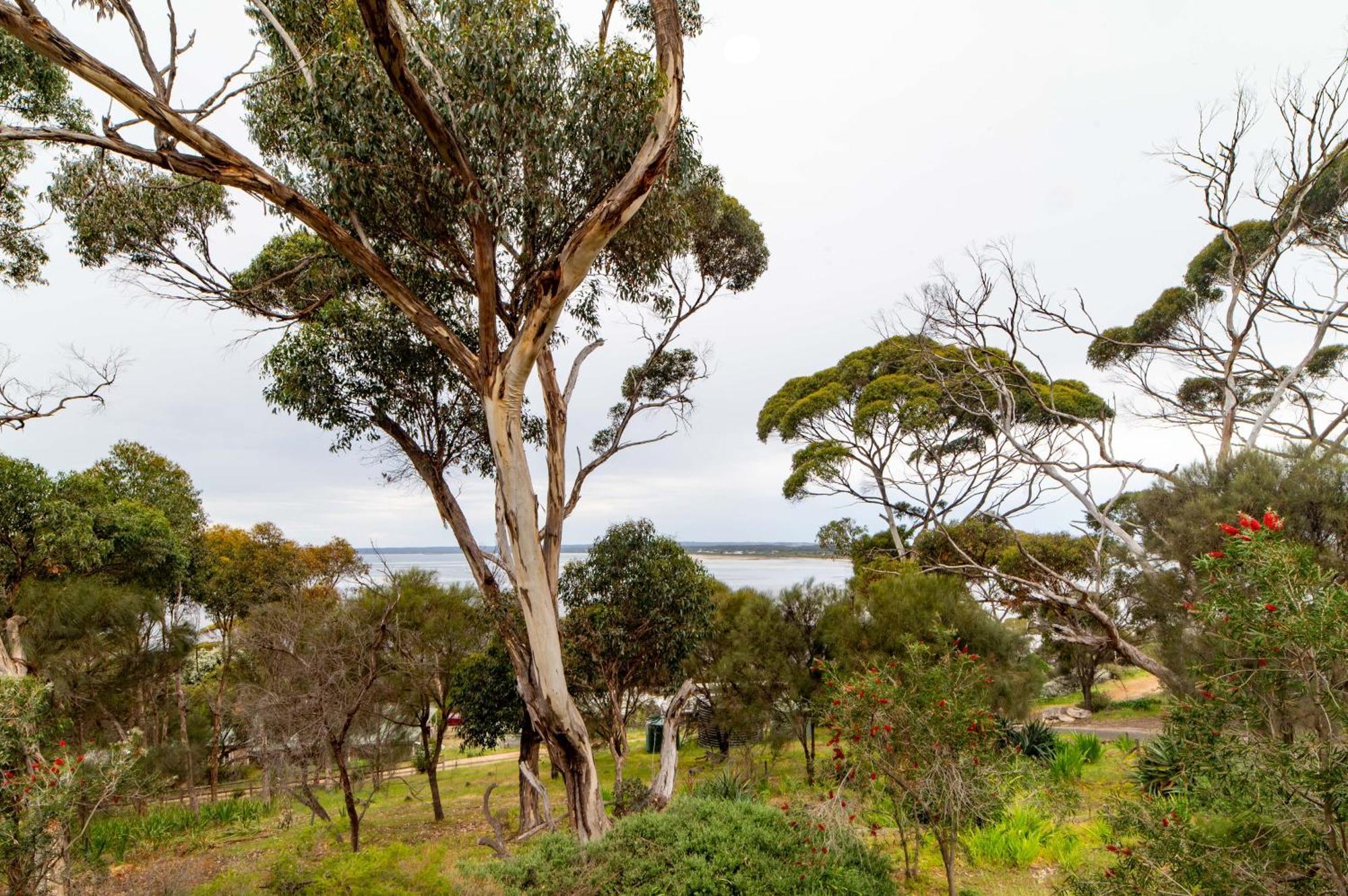 Wanderers Rest Of Kangaroo Island American River Exterior foto
